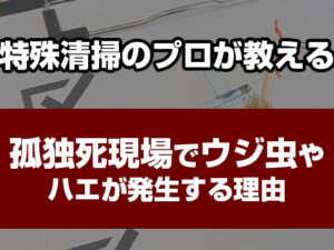 特殊清掃　ウジ虫