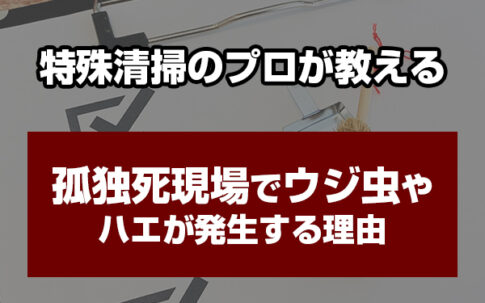 特殊清掃　ウジ虫