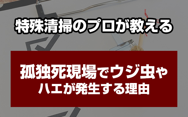 特殊清掃 ウジ虫